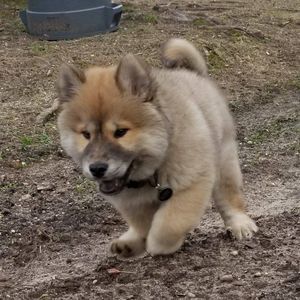 Meet your Posher, Edgardo